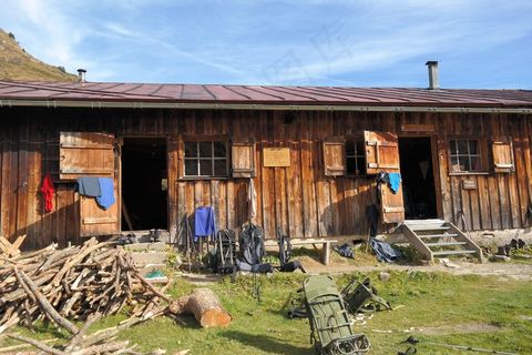 Starzelalpe，阿尔卑斯山，山，远足，远足