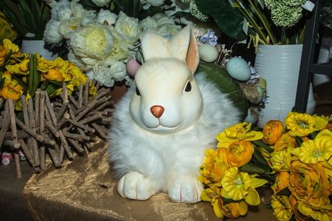 花间的复活节兔子