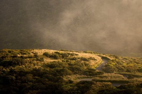 路，山坡，街，性质，景观，山