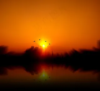 西方，鸟，Sol，日落，反对光，反射