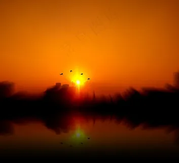 西方,鸟,Sol,日落,反对光,反射 西方,鸟,Sol,日落,反对光,反射