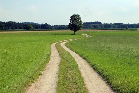 场,离开,自然,草地,车道,径,景观 场,离开,自然,草地,车道,径,景观