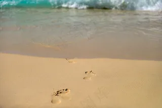 街道,海洋,地板砖,轿车,飞机,海边假期假期