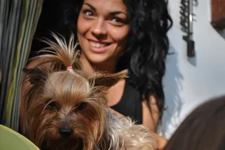 狗，宠物，动物，犬，家养，小狗，可爱