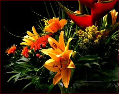 束鲜花,鲜花,花束,红色 束鲜花,鲜花,花束,红色