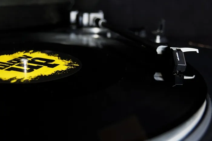 盘子，转盘，乙烯基，客户，皮卡，针