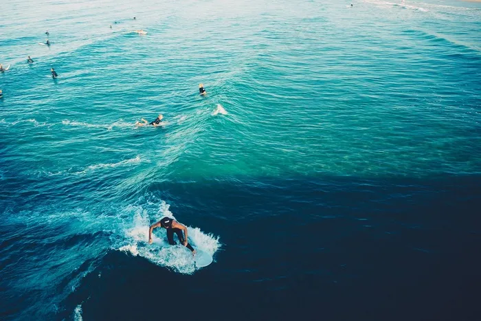 海洋,冲浪,鲨鱼,潜水,游泳,冲浪冲浪者