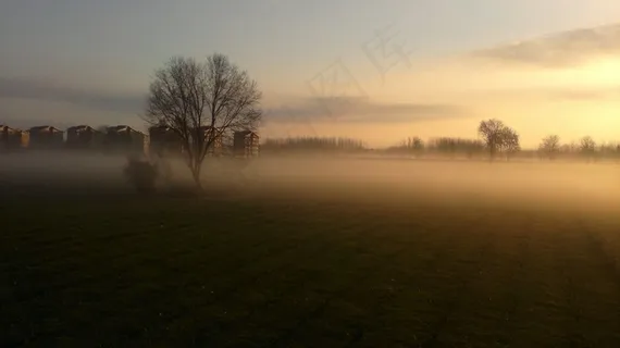 树木,建筑物,雾,薄雾,风景,树林,木质 树木,建筑物,雾,薄雾,风景,树林,木质