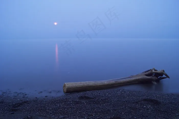树干，海岸，海滩，浮木，满月，夜，海洋