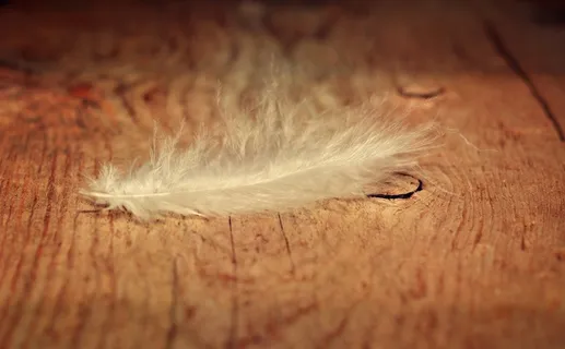 春天，白色，通风，轻微，嫩，木地板