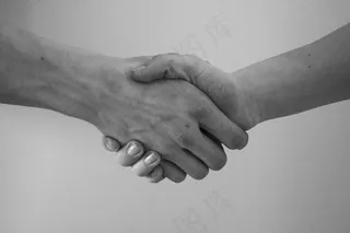 手，问候，协议，握手