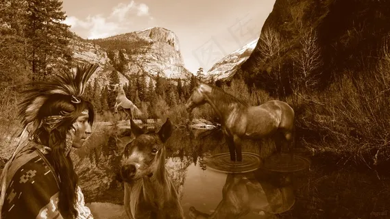 感觉，左，欲望，请求者，美国原住民，故事