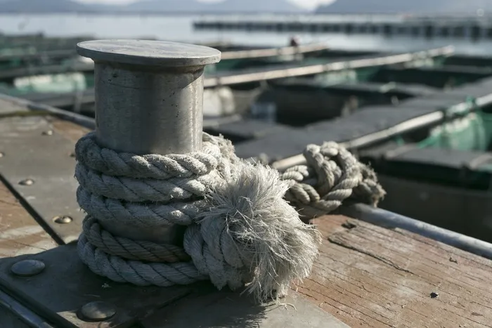 海，时代，捆绑，赎回，丁字裤，辫子，稳定性
