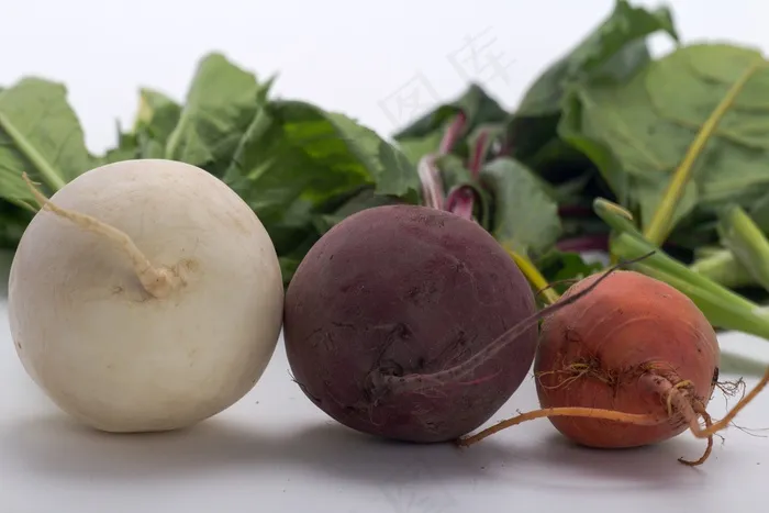蔬菜，甜菜根，萝卜，拉蒂希