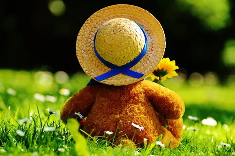 泰迪熊，熊，熊，毛绒动物，泰迪，可爱