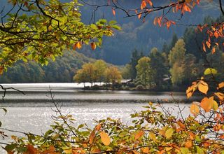湖，水域，船屋，山毛榉叶子，叶子，秋季
