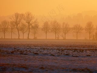 寒冬，日落，树木，背光，朦胧，冬天，雪