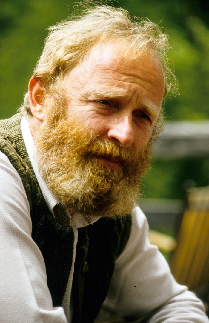 奥地利人，男子，奥地利，肖像，巴特，胡子，头