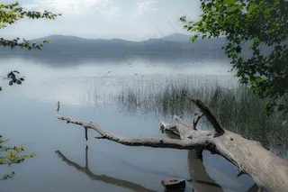 湖泊，木材，拉奇湖，玛丽亚·拉奇，阴霾，雾