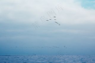 海洋，天空和鸟类