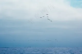 海洋，天空和鸟类