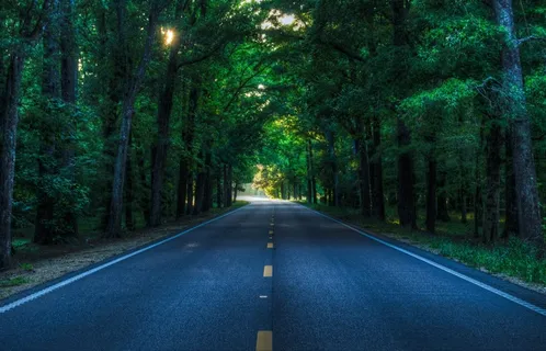 道路,农村,乡村,树木,下午,旅行 道路,农村,乡村,树木,下午,旅行