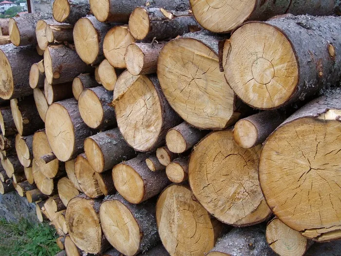 木材，木材，伐木，材料，硬木，纹理