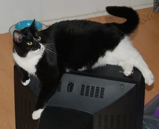 电视...很舒服...