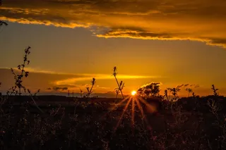 日落，日出，天空，夏天，黄昏