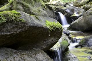 巴赫，大自然，奥地利，施蒂里亚州，蒂希奇，景观