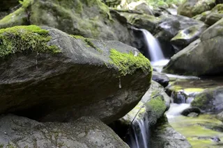 巴赫，大自然，奥地利，施蒂里亚州，蒂希奇，景观