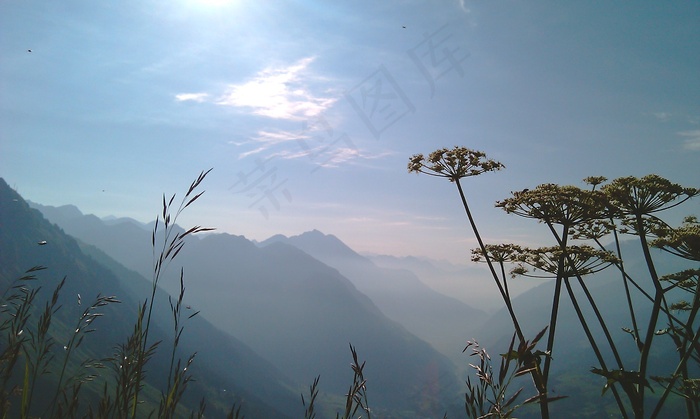 山，空气清新，天堂，寒冷，花，蓝色