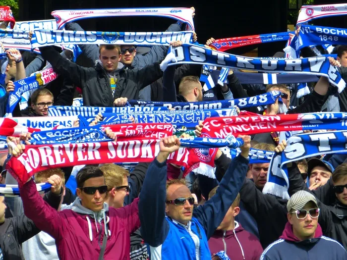 球迷，庆祝，足球，人类，个人