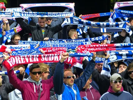 球迷，庆祝，足球，人类，个人