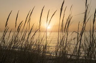 生活，美女，场景，海滩，自然，地面，地球