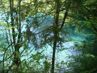 风景，景观，影像