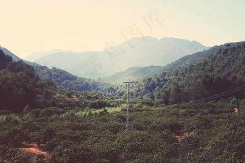 自然,风景,山谷,人工林,森林,丘陵 自然,风景,山谷,人工林,森林,丘陵