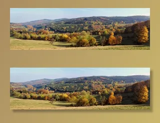 全景，秋，山，自然，顶视图，树