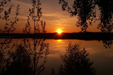 自然，日落，水