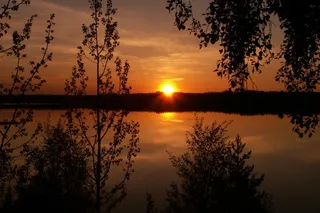 自然，日落，水