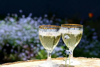 香槟，眼镜，饮料，酒精，波光粼粼，泡沫