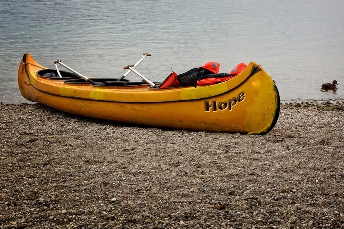 划独木舟，靴子，银行，海滩，路堤，桨