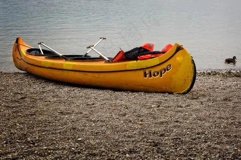 划独木舟，靴子，银行，海滩，路堤，桨