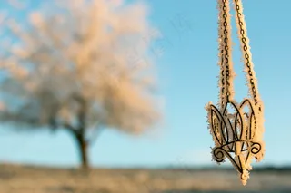 冬天，冻结，早晨，日出，瑞士