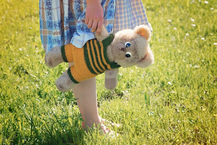 女孩，儿童，泰迪熊，泰迪，玩具，草地，出