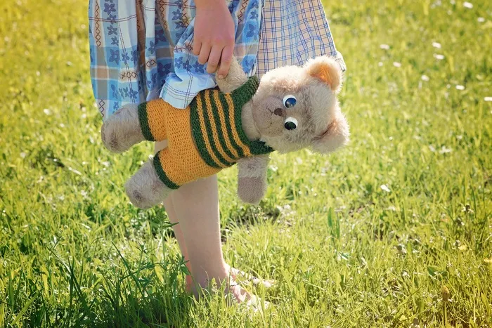 女孩，儿童，泰迪熊，泰迪，玩具，草地，出