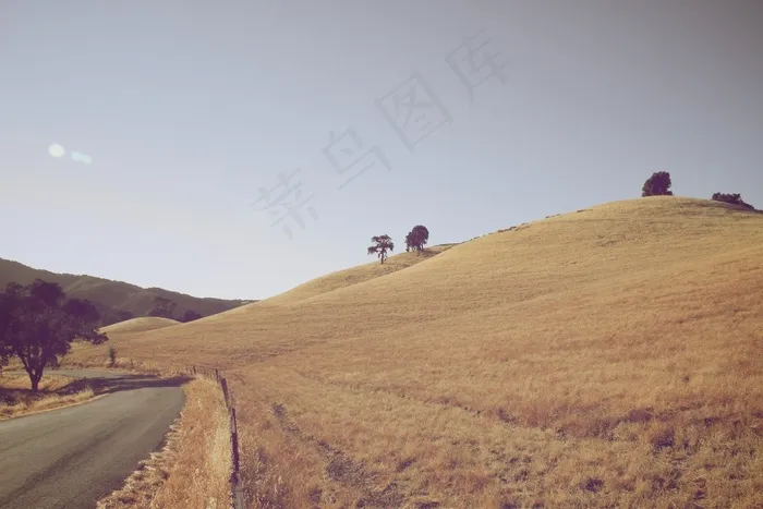 山坡，道路，农村，景观，农村，树木