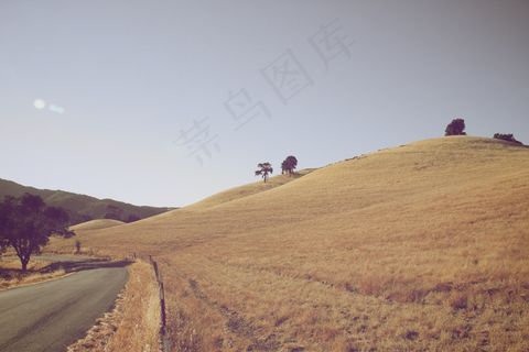 山坡，道路，农村，景观，农村，树木