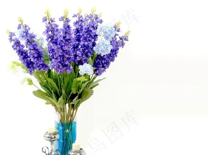 花,植物区系,紫色,花束,紫罗兰色,绿色,蓝色 花,植物区系,紫色,花束,紫罗兰色,绿色,蓝色