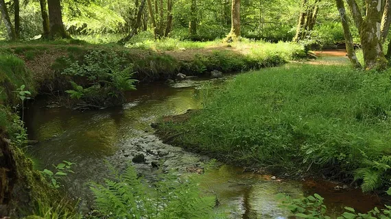 河流,水,水道,性质,法国,曲线 河流,水,水道,性质,法国,曲线